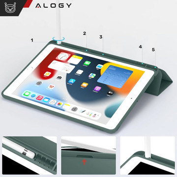 Pouzdro pro Apple iPad 10.2 9 Gen 8/7 2021/2020/2019 Smart Pencil Case Alogy TPU Kryt na tablet Zelené sklo