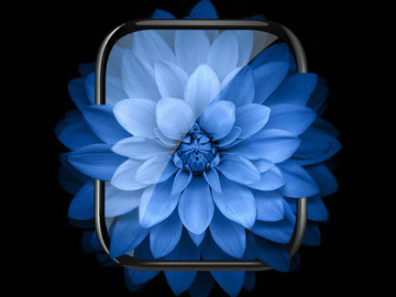 2x Alogy 3D Flexible Protective Glass for Haylou Solar LS02 Black