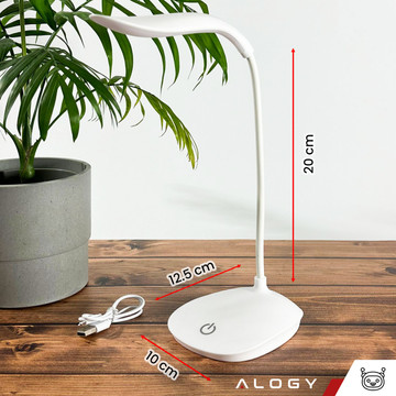 LED desk lamp for desk touch touch school USB standing night wireless Flexible Alogy White