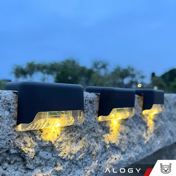 LED solar garden lamp for terrace, balcony, stairs, balustrade with dusk sensor, AAA battery, black